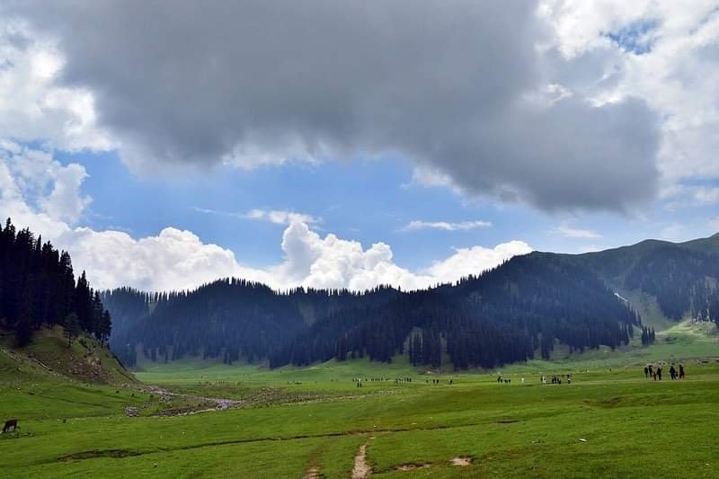 Image Gallery