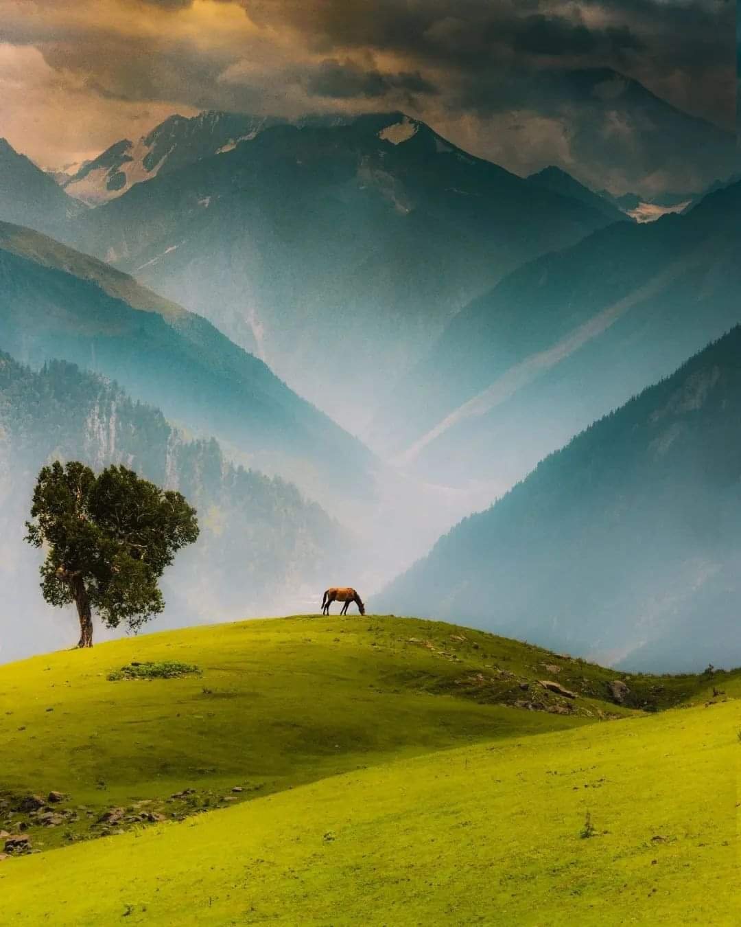 Image Gallery