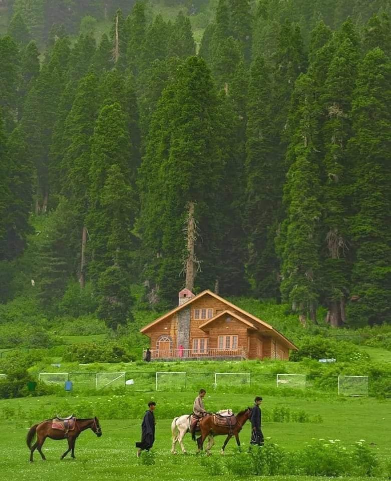 Image Gallery
