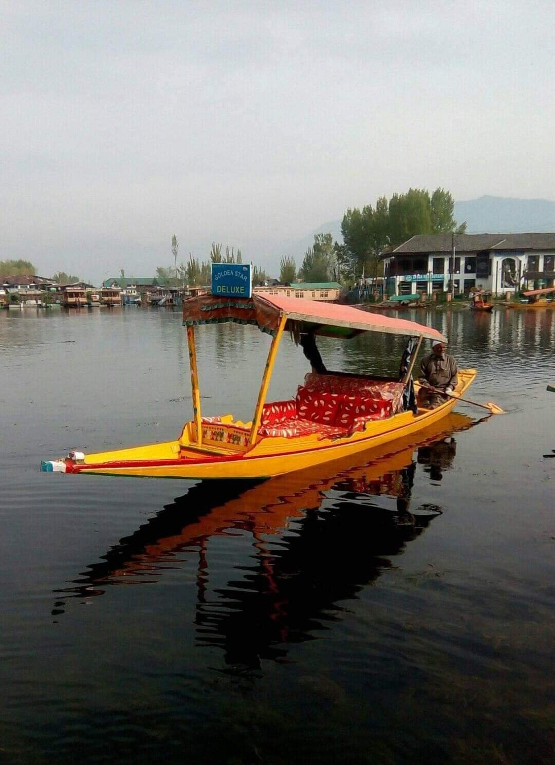Image Gallery